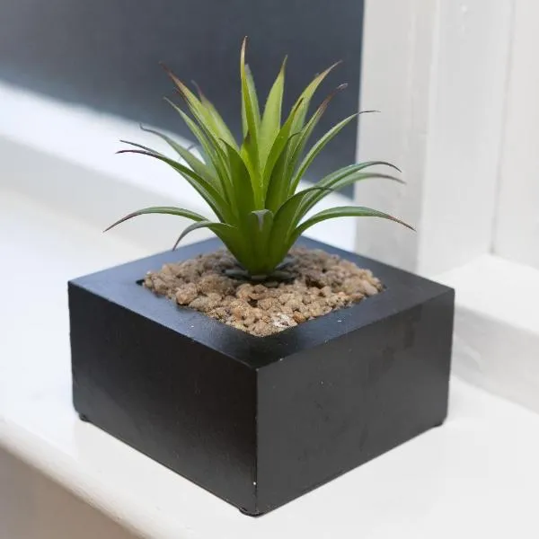 The City, хотел в Gilesgate