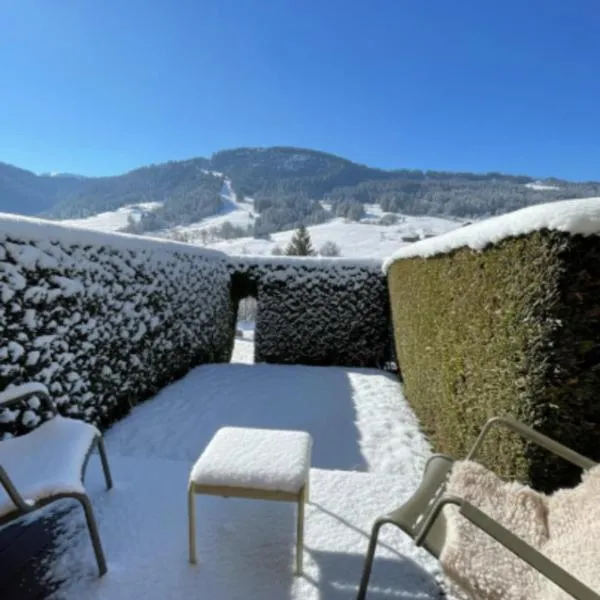 Charming studio with terrace and garden, hotel i Praz-sur-Arly