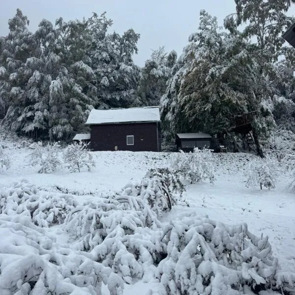 Kolibe Ćorić, hotel i Mojkovac