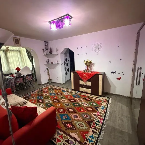 Ingrid home 3 camere, hotel en Vatra Dornei