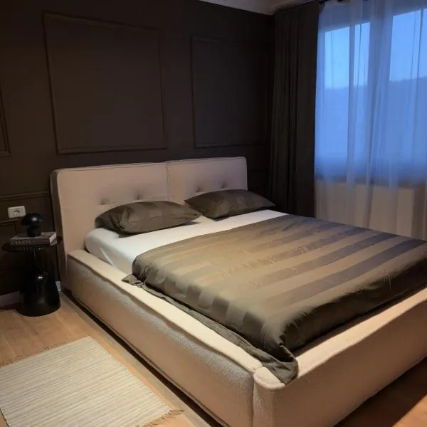 Cozy Central View, hotel din Reşiţa