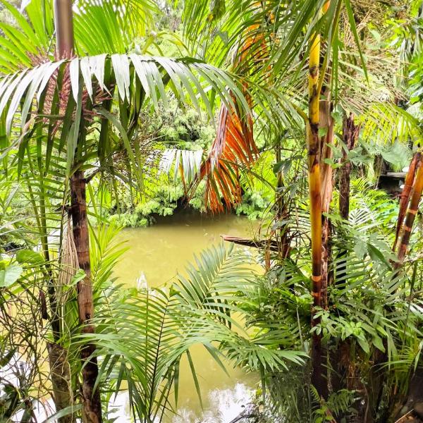Casa de Campo c Lareira Externa, Rede e Lago - Foto 5
