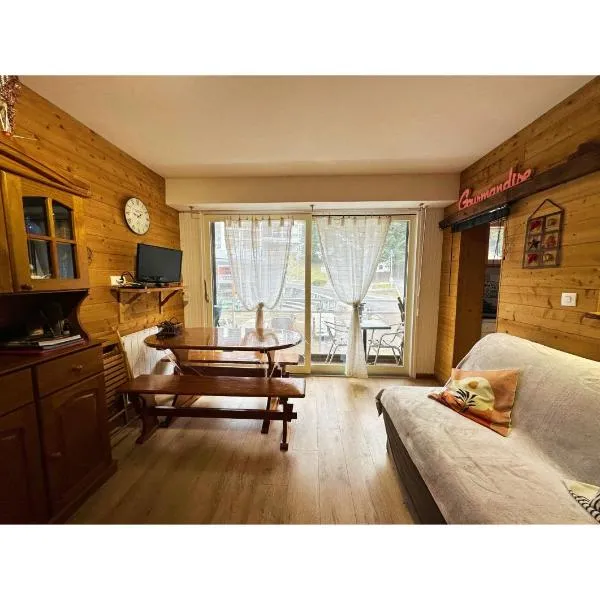 Au pied des pistes ! Appartement 6 personnes Gourette, khách sạn ở Eaux-Bonnes