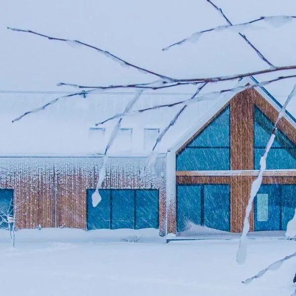 TATANKA Dom w Puszczy & SPA na Polanie，位于比亚沃维耶扎的酒店