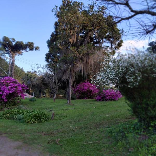 Cabana em Canela, para 6 pessoas - Foto 4