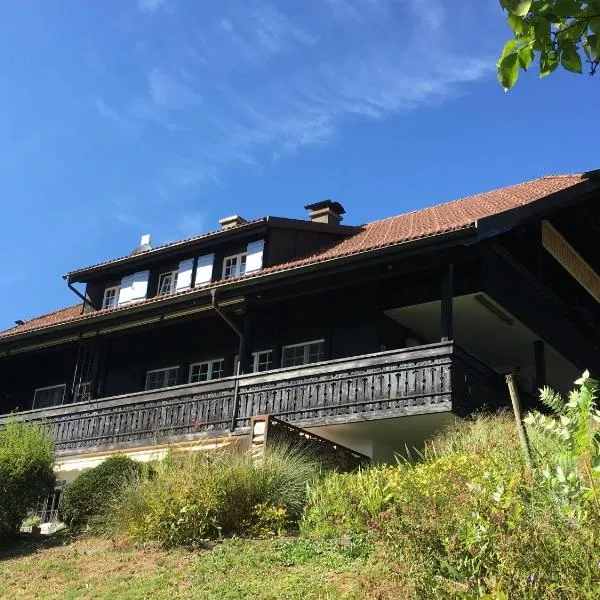 Landhausvilla Strittberg 7, hotel en Höchenschwand