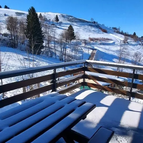 Chalet Les Sapins sauna au pied des pistes, отель в городе Ла-Бресс