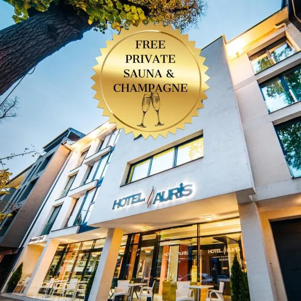 Hotel Auris, hotel in Szeged