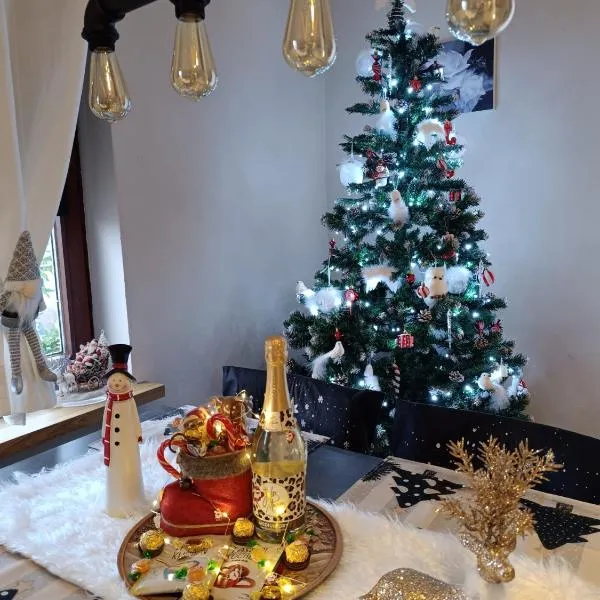 Jessis Harz Appartements, hotel i Sankt Andreasberg