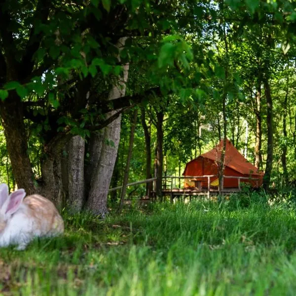 AMANI - Aap, hotel in Lichtaart