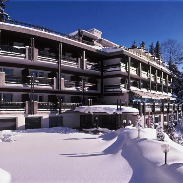 Hôtel de la Forêt, Hotel in Vercorin