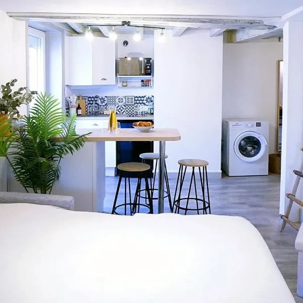 Studio Élégant Roanne, hotel i Roanne