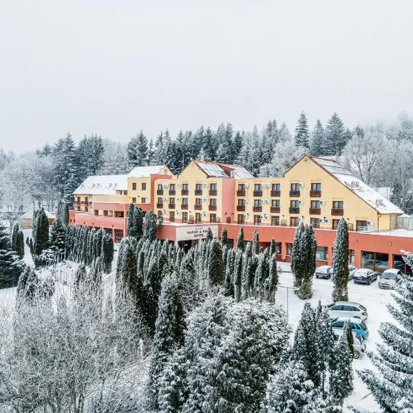 Hotel Narád, hotel v destinaci Mátraszentimre