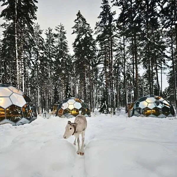 SKOG - Aurora Igloos Resort, hotel in Kalix