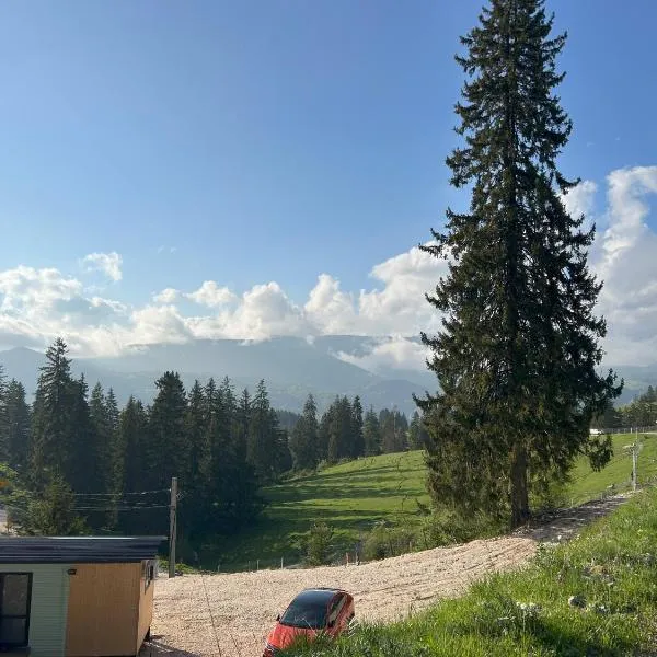 Virajlux, hotel v destinaci Dîmbovicioara