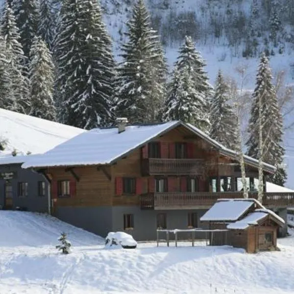 La Chanterelle - Mountain Lodge – hotel w mieście La Côte dʼArbroz