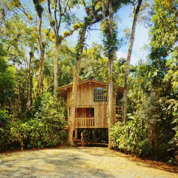 Casa da Árvore, отель в городе Жоинвили