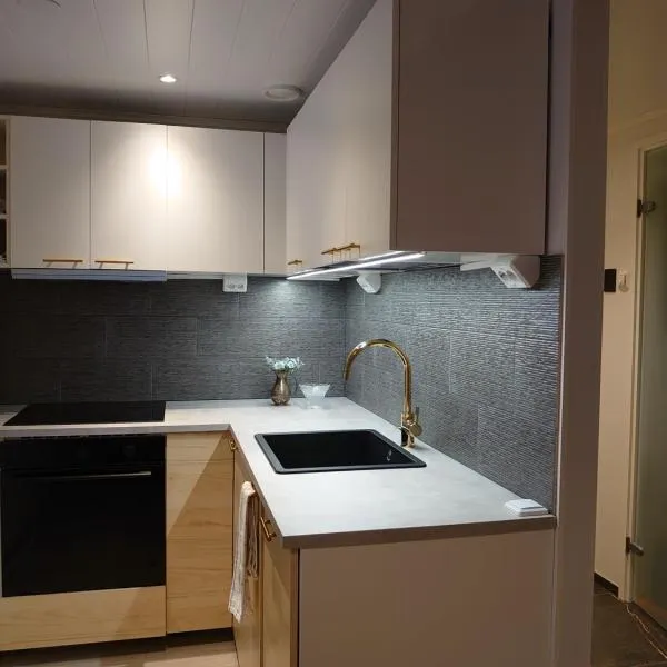 Holidayhome TahkonTintinlenkki, hotelli Tahkovuorella