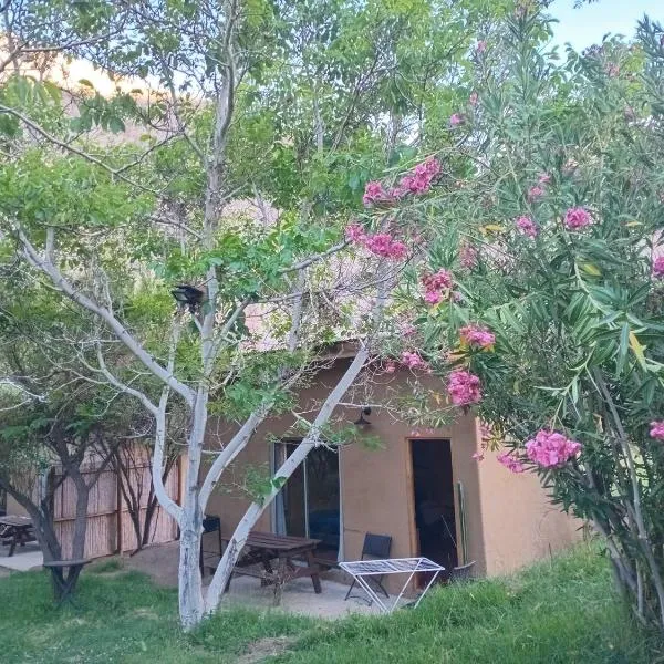 Cabañas Los Sauzales del Elqui，位于皮斯科艾齐的酒店