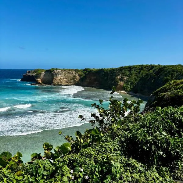D O M A I N E - D E - L' A N S E - P I S T O L E T - Proche Grande Vigie, Vue Unique、Anse-Bertrandのホテル