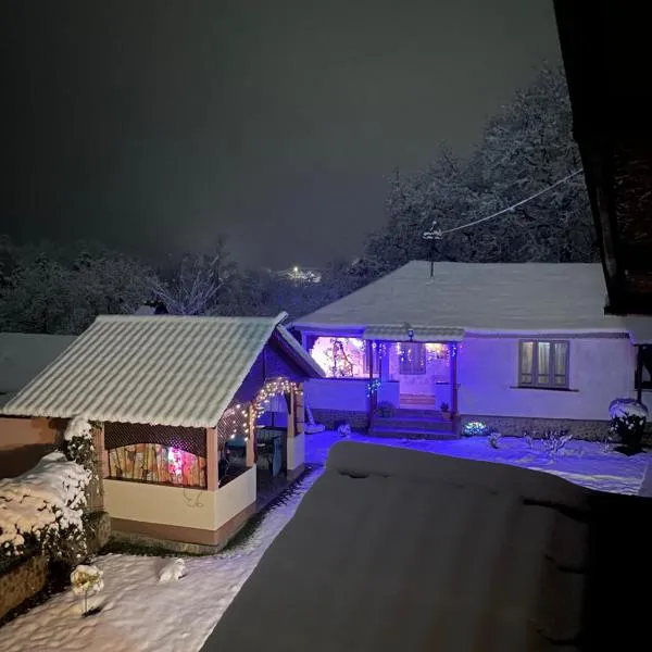 Casa Putna, khách sạn ở Vidra