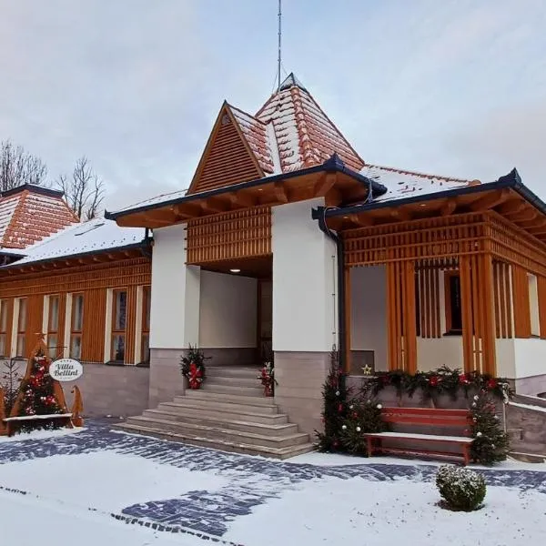 Villa Bellini Borszék, hotel in Borsec
