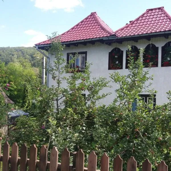 Pensiunea Letitia, hotel v destinaci Suceviţa