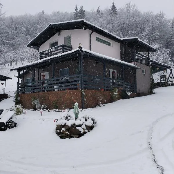 VILA Ade, hotel in Padeş