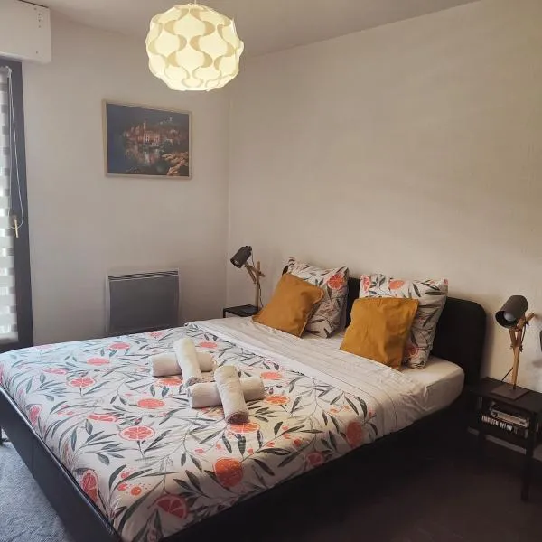 Lovely apartment with a garage on premises, hotel in Strasbourg