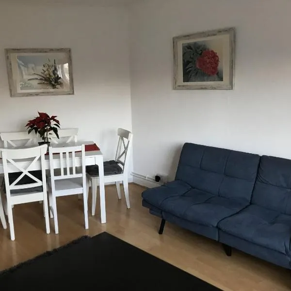 Beautiful flat in Brixton close to city center, hotel i London