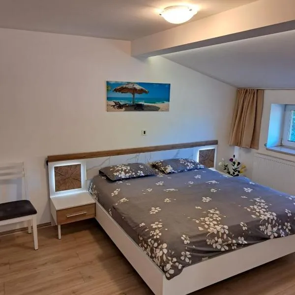 Apartment Cozia, hotel in Timişoara