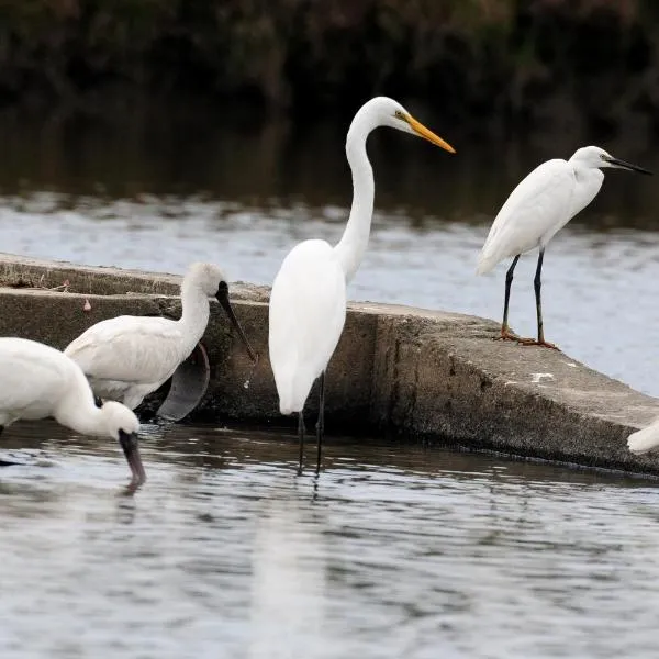 Yilan B&B - Happy Snail, hotel v destinaci Wujie