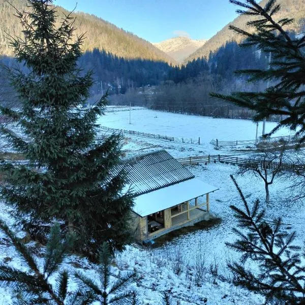 Будинок в Карпатах, khách sạn ở Verkhniy Yasenov