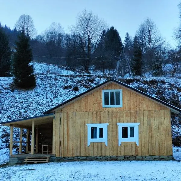 Будинок в Карпатах, hotel v destinaci Verkhniy Yasenov