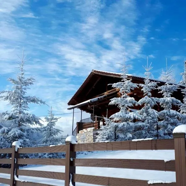 Artem Chalet, hotel v destinaci Ciocanu