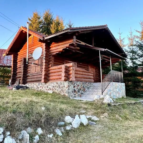 Artem Chalet, hotel di Ciocanu