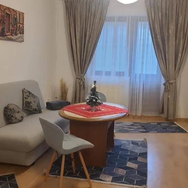 Apartament Anne，蒂米什瓦拉的飯店