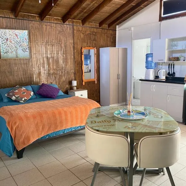 Loft Tongoy 2 Interior sin vista al mar, hotel in Tongoy