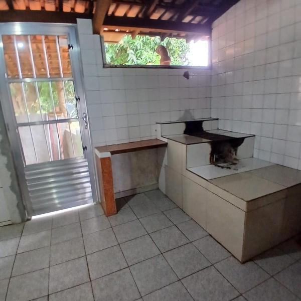 Casa cabeca de Boi MG - Foto 3