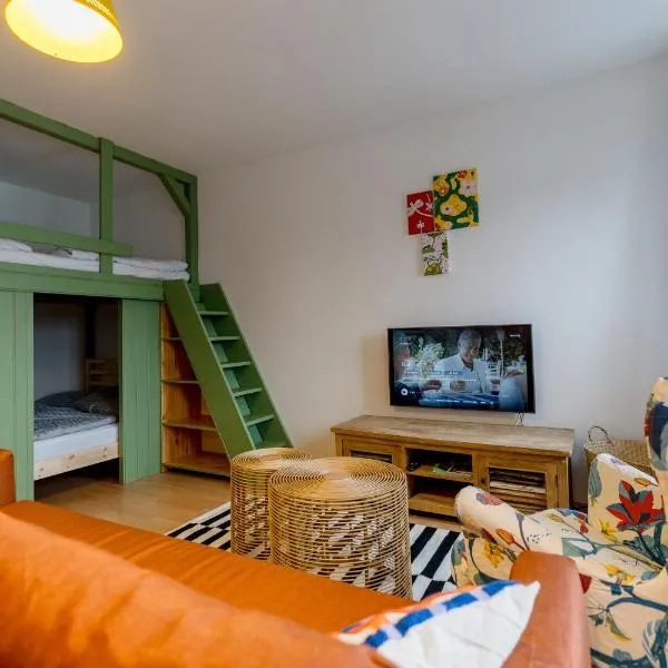 Family Loft Boží Dar, hotel i Boží Dar
