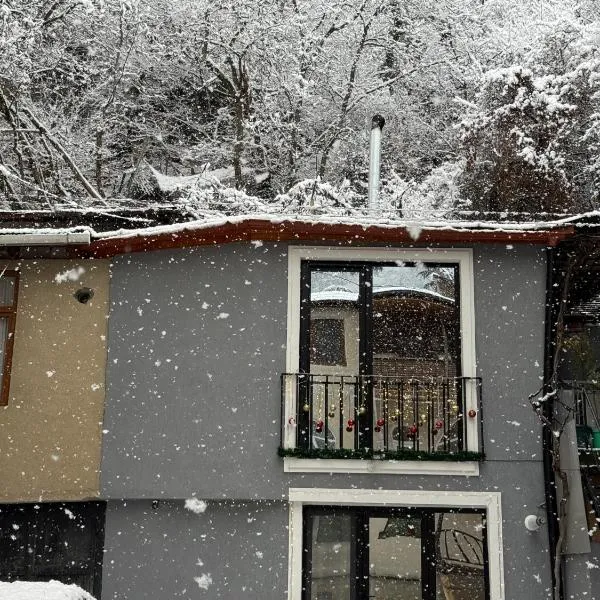 The Fireplace ROOM, khách sạn ở Borjomi