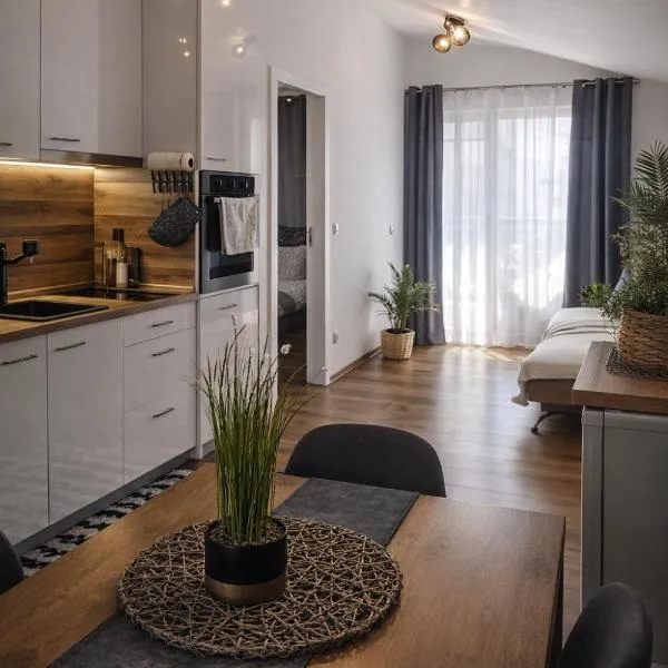 Charming City Apartment SIYANA - Self Check-in, hotel Panagjuristében