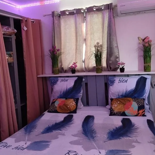 Charmant appart, hotel in Fort-de-France
