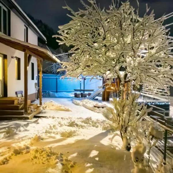 Casa MATEO, hotel i Topliţa