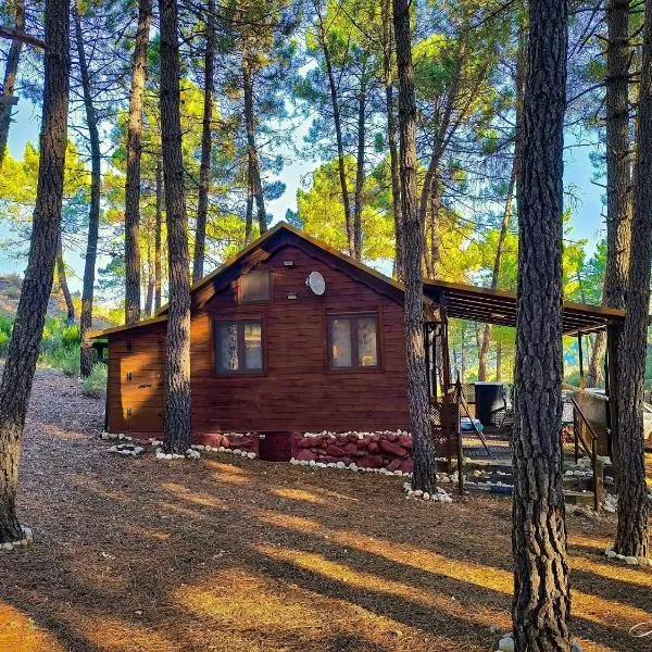 Cabaña Ananda Río Mundo, hótel í Riópar