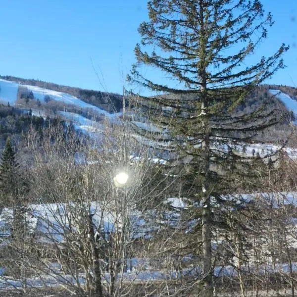 Mountain view chalet avec vue sur la montagne, hotel in Stoneham