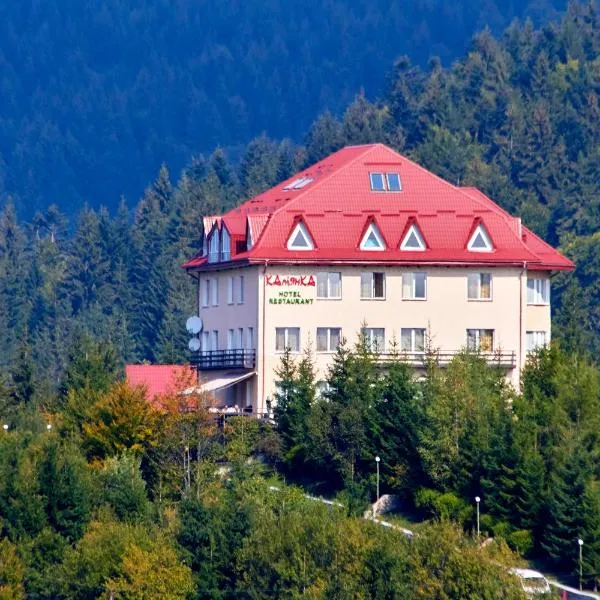 Kamyanka, hotel u gradu Mižhirja