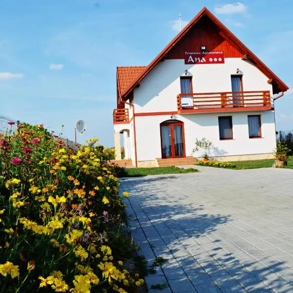 Pensiunea Ana, hotel in Odoreu