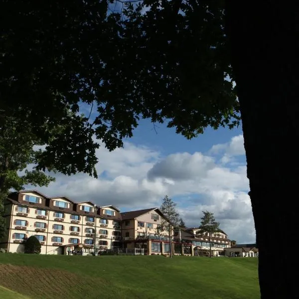 Chestnut Mountain Resort, hotel in Elizabeth