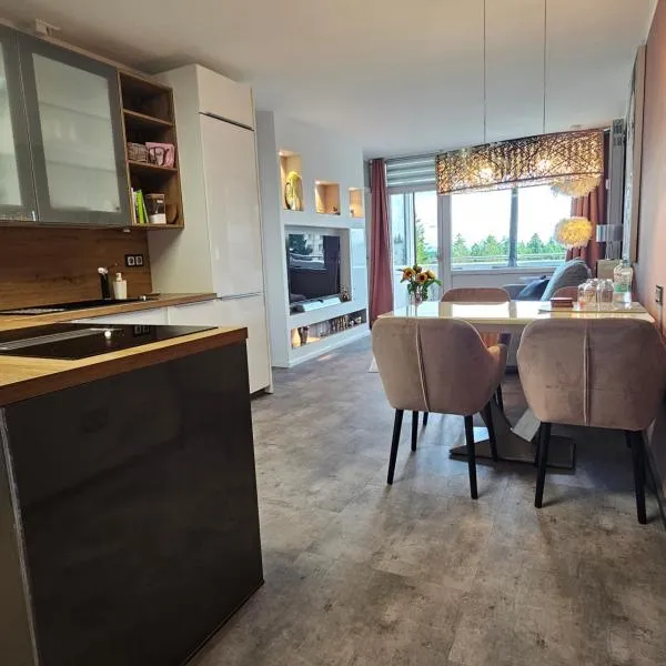 Harz High End 4 und 5 Sterne DTV Apartments, hotel in Goslar